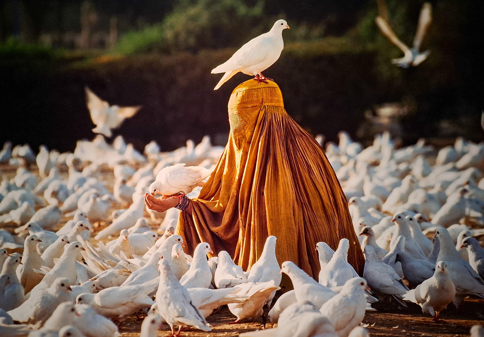 Móvil 20260613 Steve McCurry 08